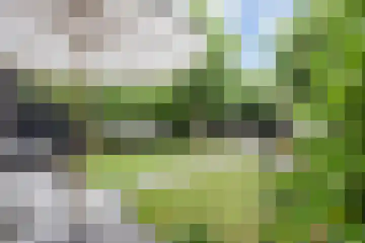 Van der Maareltuinen 24 Delft thumbnail 20