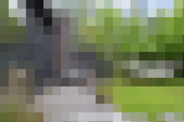 Van der Maareltuinen 24 Delft thumbnail 21