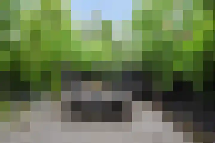 Van der Maareltuinen 24 Delft thumbnail 24