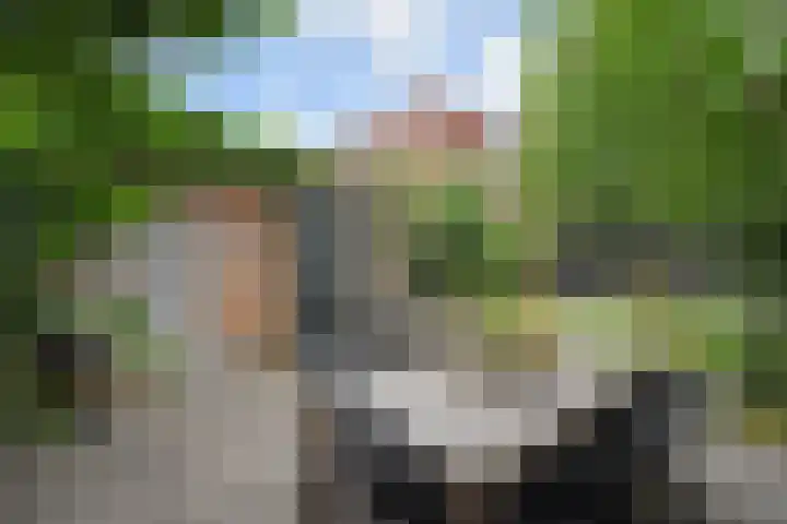 Van der Maareltuinen 24 Delft thumbnail 25