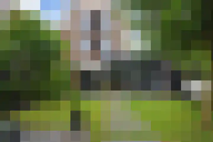 Van der Maareltuinen 24 Delft thumbnail 27