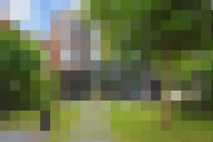 Van der Maareltuinen 24 Delft thumbnail 28