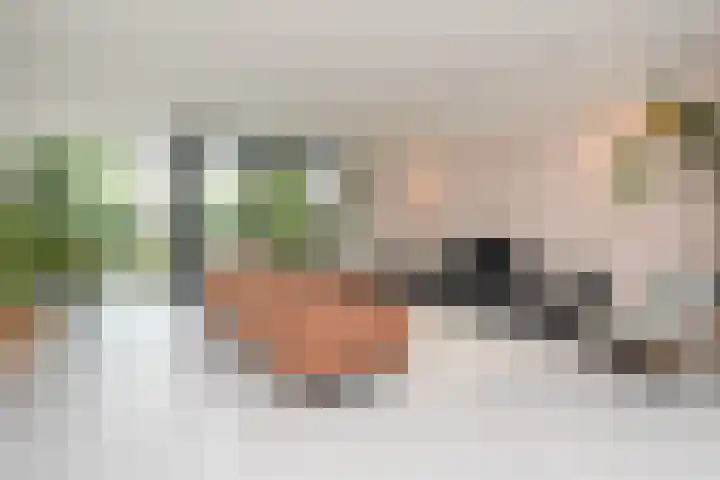 Van der Maareltuinen 24 Delft thumbnail 41