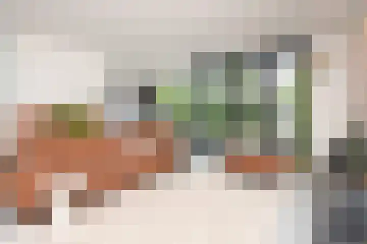 Van der Maareltuinen 24 Delft thumbnail 42