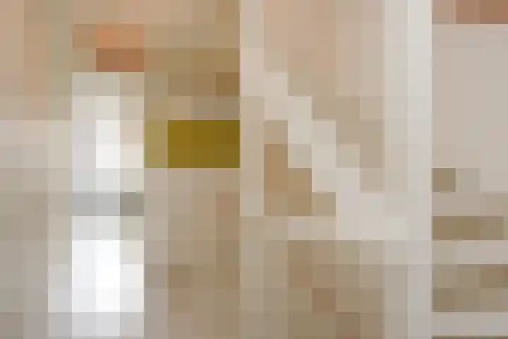 Van der Maareltuinen 24 Delft thumbnail 53