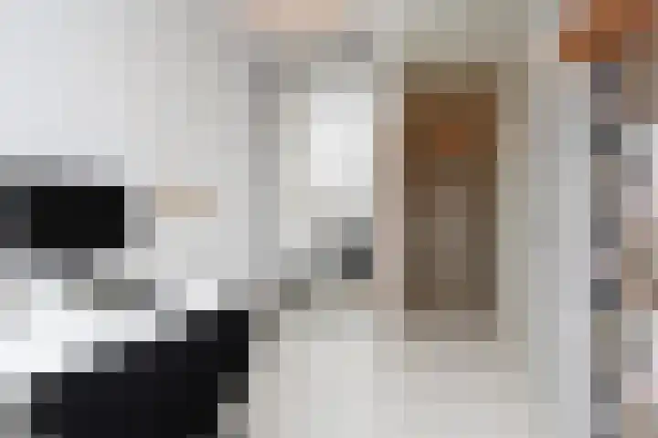 Van der Maareltuinen 24 Delft thumbnail 55