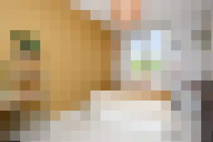 Van der Maareltuinen 24 Delft thumbnail 56
