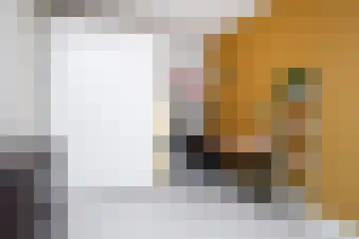 Van der Maareltuinen 24 Delft thumbnail 57