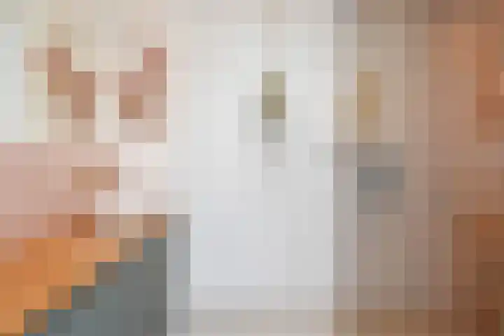 Van der Maareltuinen 24 Delft thumbnail 67