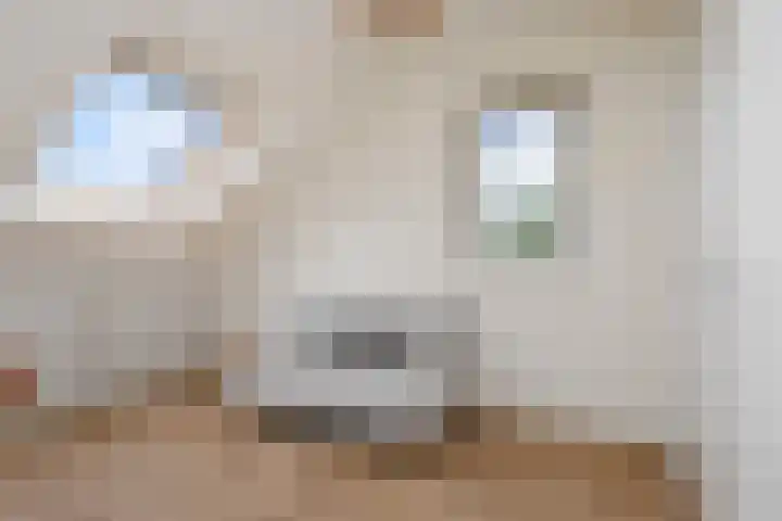Van der Maareltuinen 24 Delft thumbnail 72