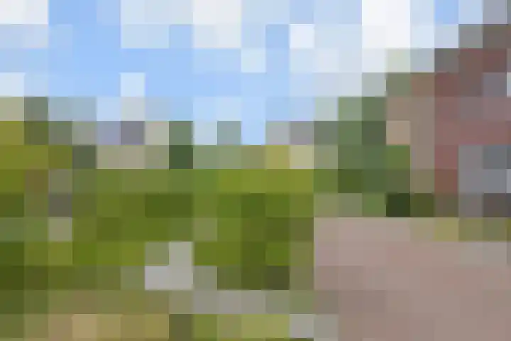 Van der Maareltuinen 24 Delft thumbnail 78
