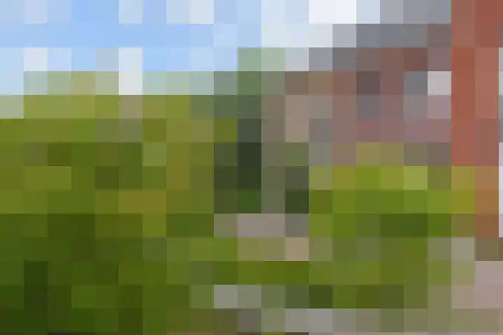 Van der Maareltuinen 24 Delft thumbnail 79