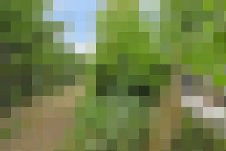 Van der Maareltuinen 24 Delft thumbnail 81