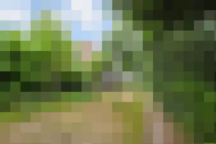 Van der Maareltuinen 24 Delft thumbnail 82