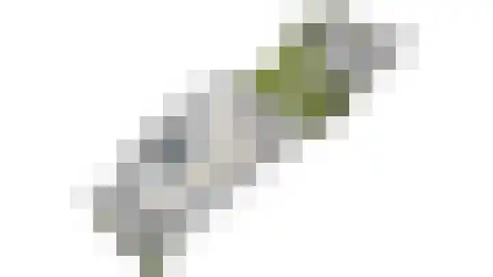 Van der Maareltuinen 24 Delft thumbnail 92