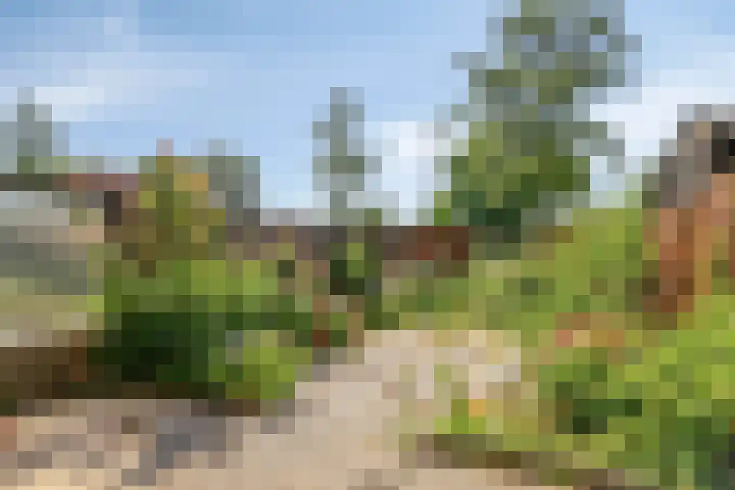 Van der Maasstraat 12 Zoetermeer thumbnail 27