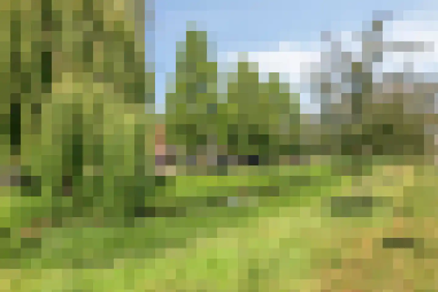 Van der Maasstraat 12 Zoetermeer thumbnail 29