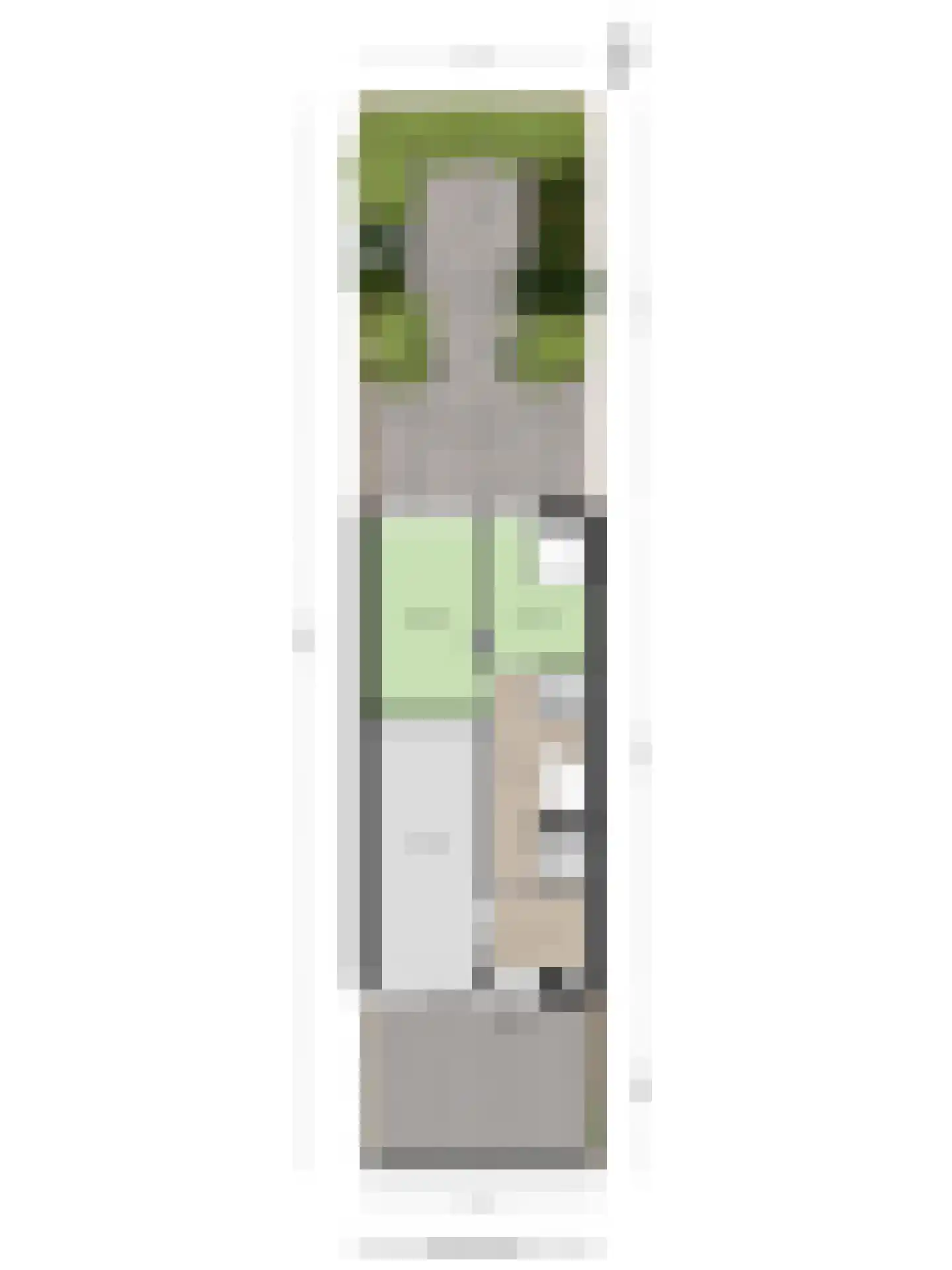 Van der Maasstraat 12 Zoetermeer thumbnail 36