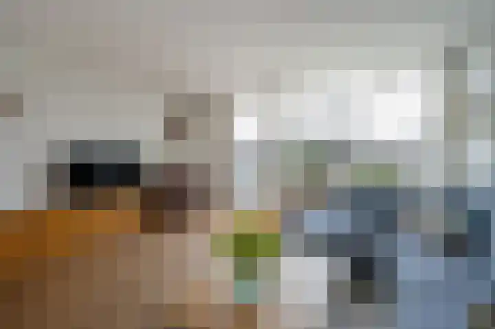 Van der Maasstraat 3 Zoetermeer thumbnail 21