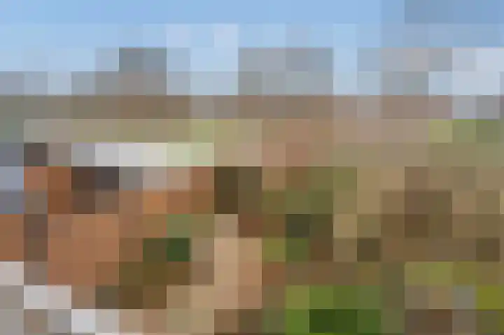 Van der Maasstraat 3 Zoetermeer thumbnail 22