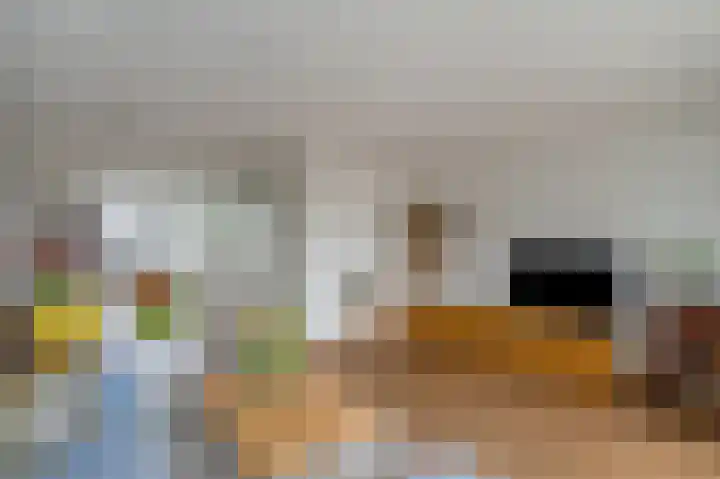 Van der Maasstraat 3 Zoetermeer thumbnail 25