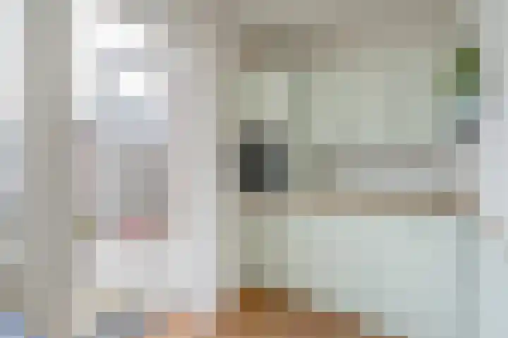 Van der Maasstraat 3 Zoetermeer thumbnail 29