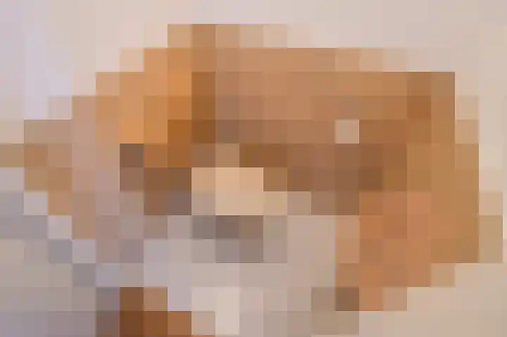 Van der Maasstraat 3 Zoetermeer thumbnail 31
