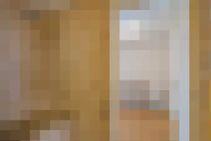 Van der Maasstraat 3 Zoetermeer thumbnail 36