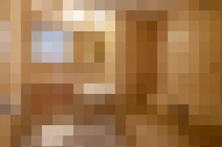 Van der Maasstraat 3 Zoetermeer thumbnail 37