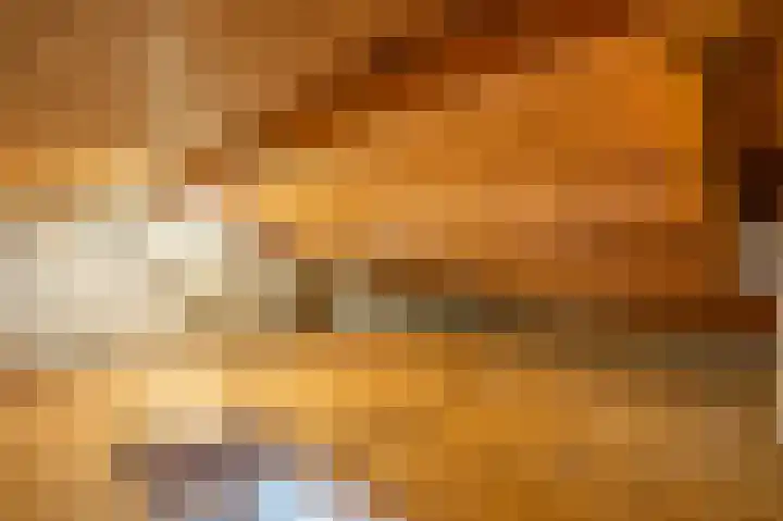 Van der Maasstraat 3 Zoetermeer thumbnail 42