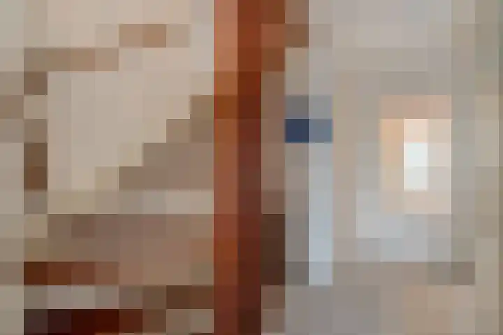 Van der Maasstraat 3 Zoetermeer thumbnail 8