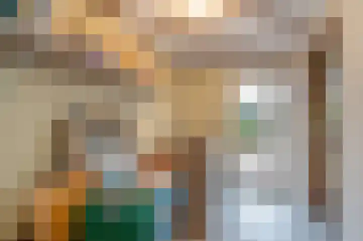 Van der Maasstraat 3 Zoetermeer thumbnail 9