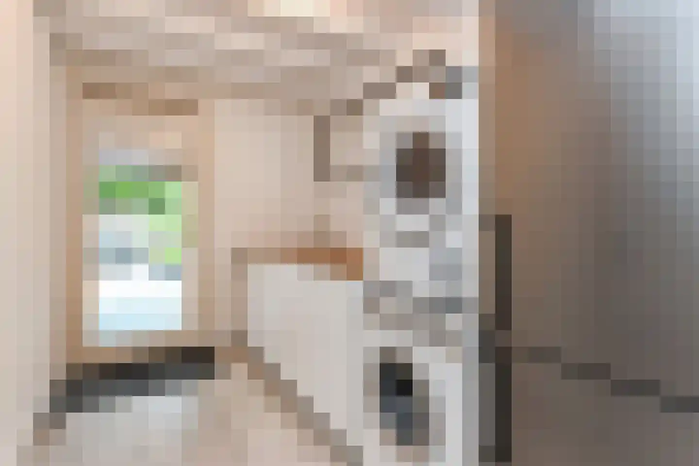 Van der Maasstraat 6 Zoetermeer thumbnail 10