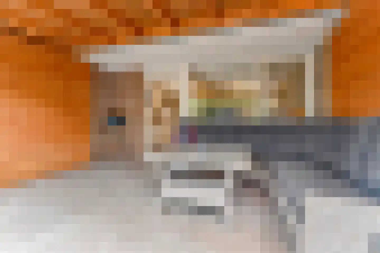 Van der Maasstraat 6 Zoetermeer thumbnail 12