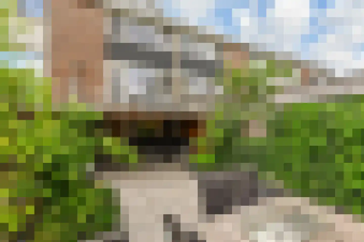 Van der Maasstraat 6 Zoetermeer thumbnail 13