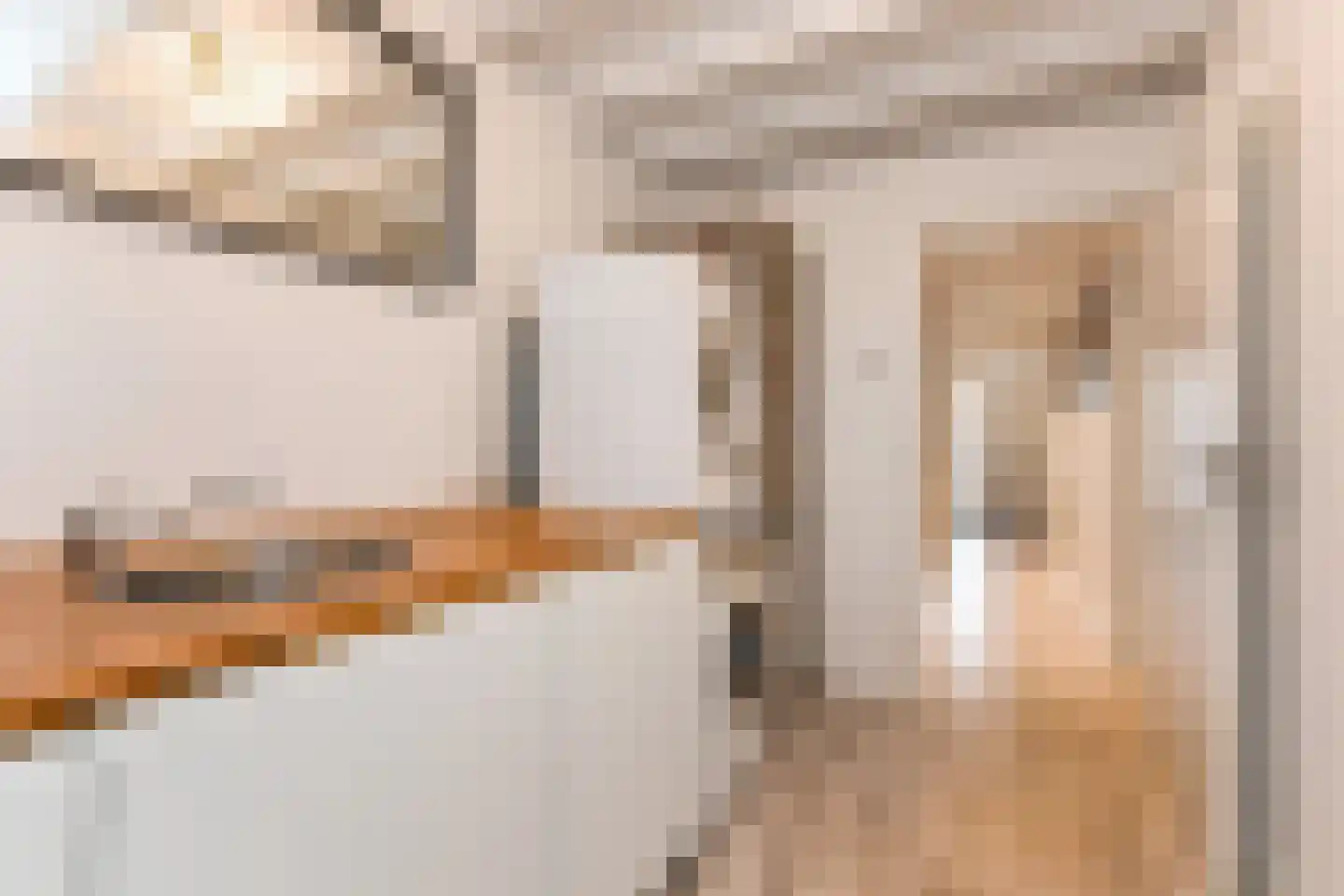 Van der Maasstraat 6 Zoetermeer thumbnail 14