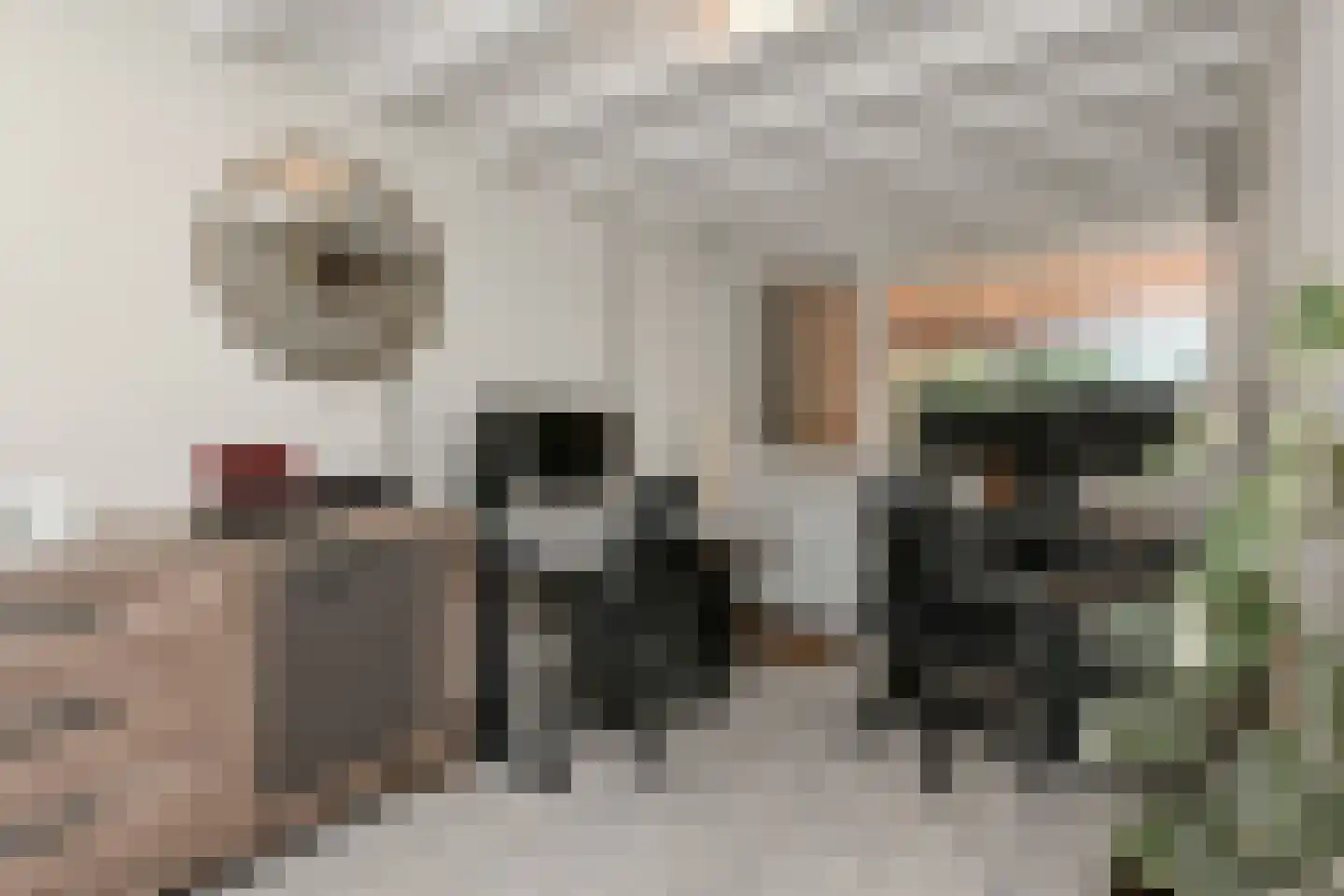 Van der Maasstraat 6 Zoetermeer thumbnail 15