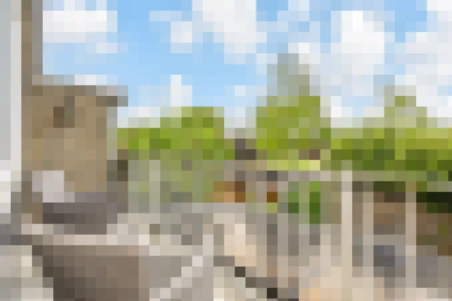 Van der Maasstraat 6 Zoetermeer thumbnail 20