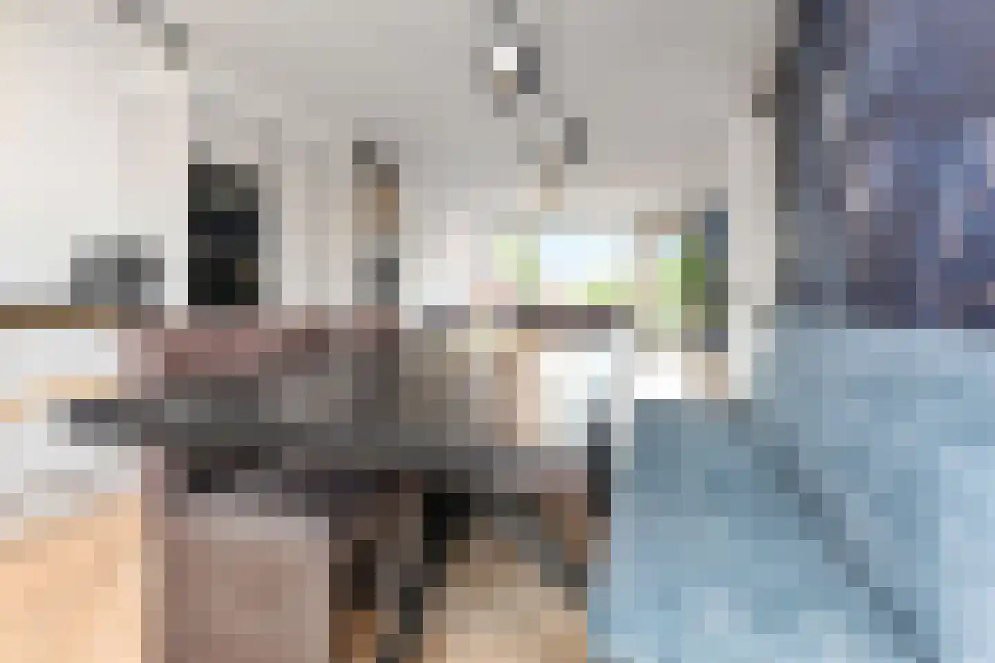 Van der Maasstraat 6 Zoetermeer thumbnail 29
