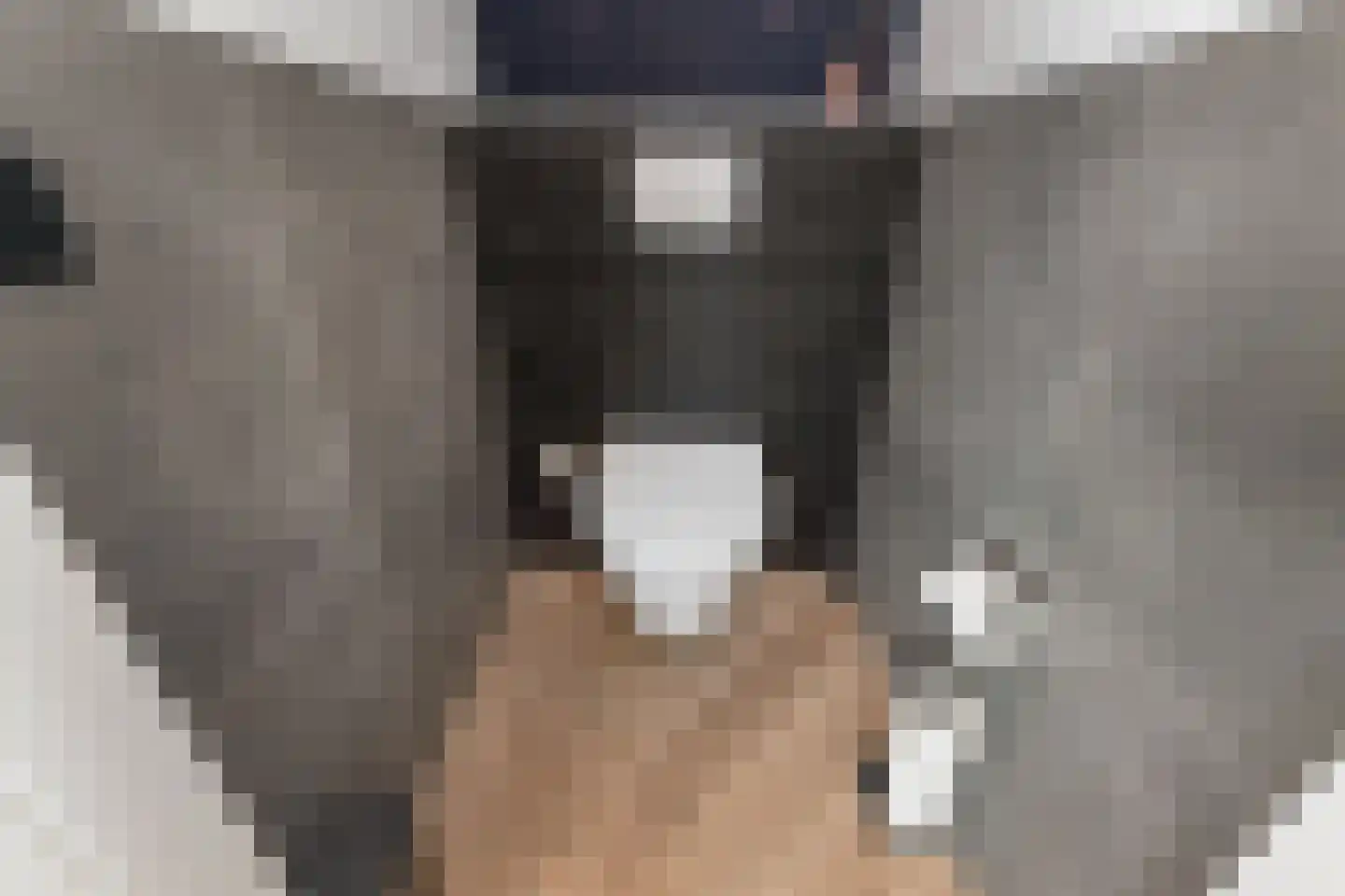 Van der Maasstraat 6 Zoetermeer thumbnail 31