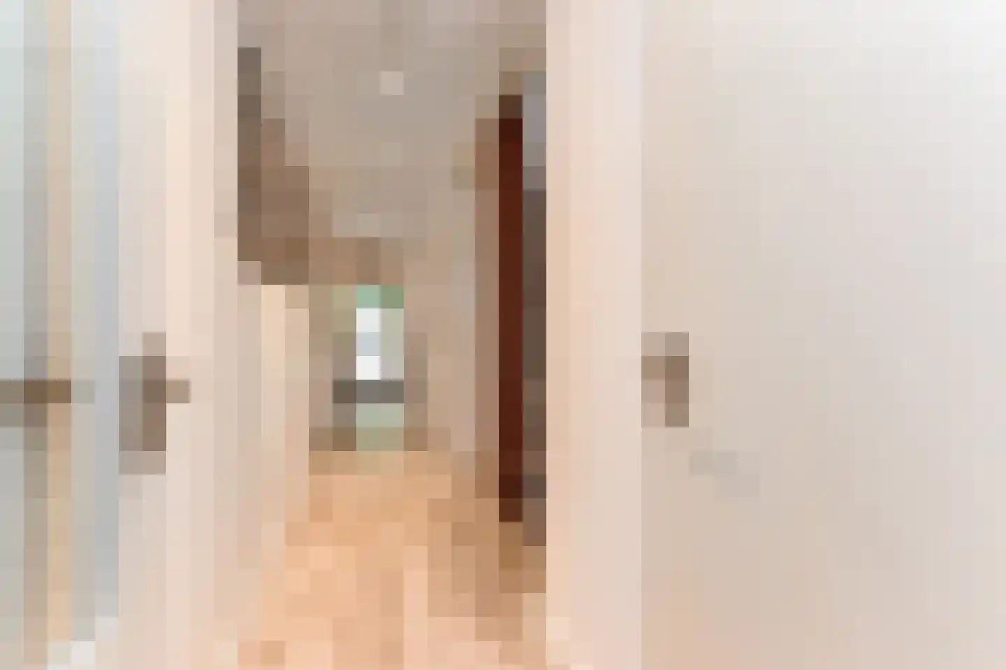 Van der Maasstraat 6 Zoetermeer thumbnail 6