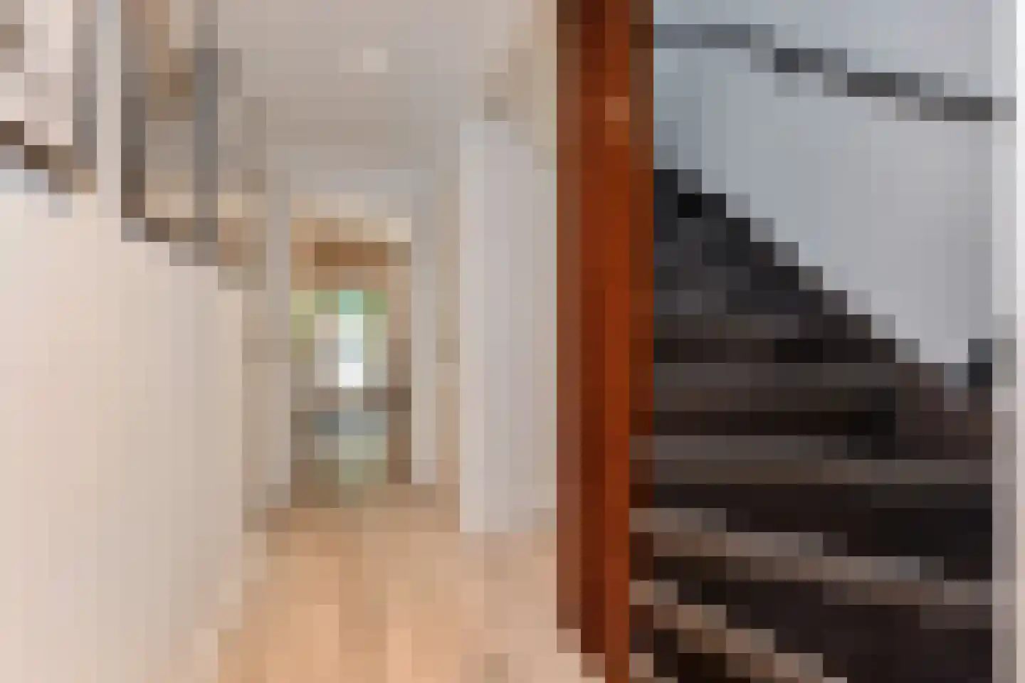 Van der Maasstraat 6 Zoetermeer thumbnail 7