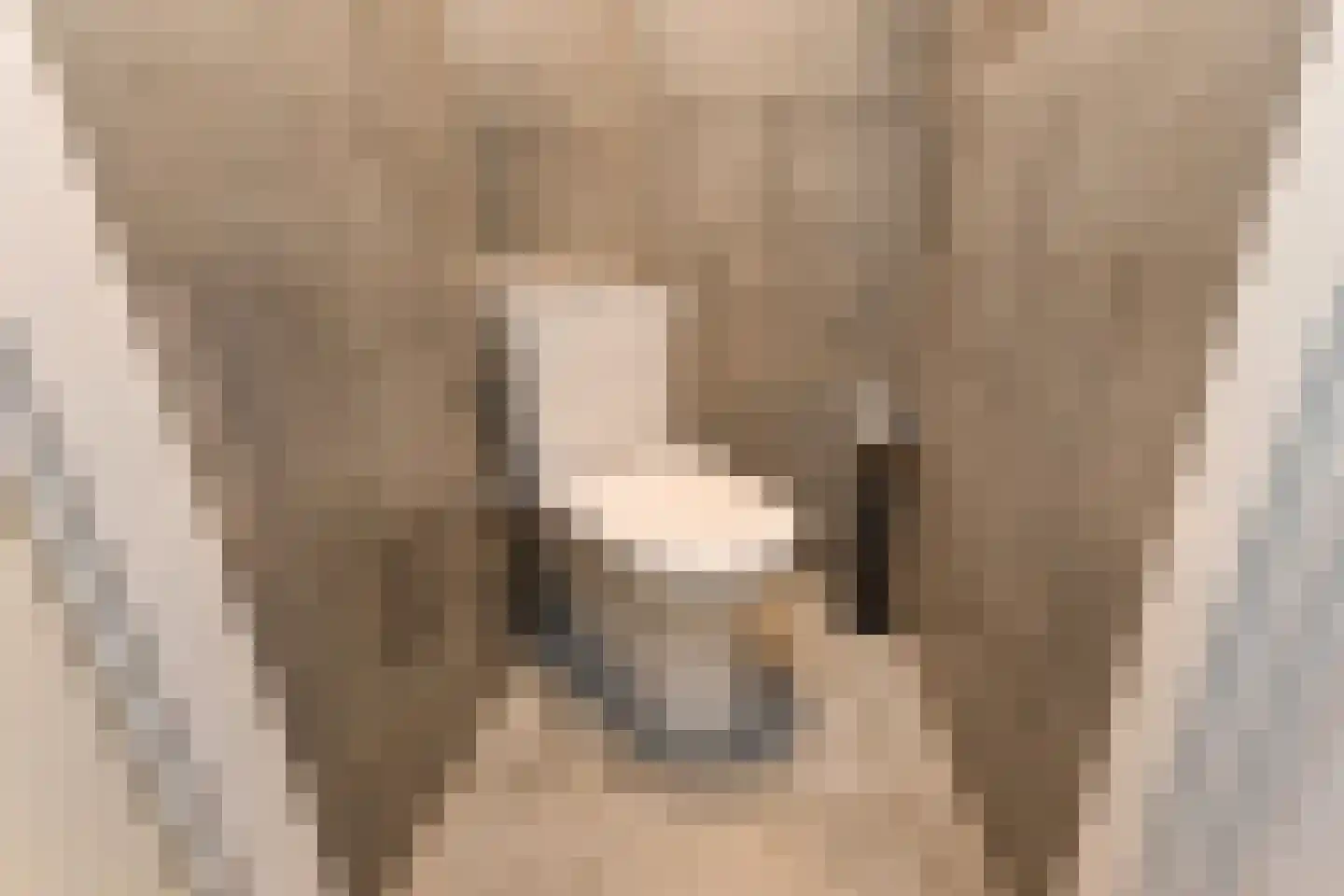 Van der Maasstraat 6 Zoetermeer thumbnail 9