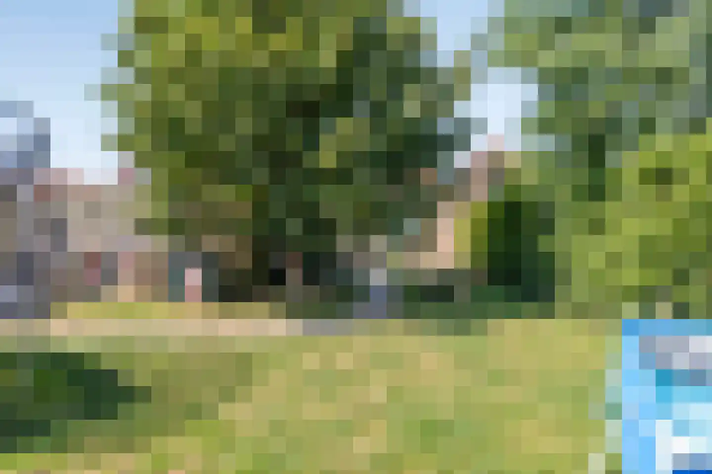 van der Maelstedeweg 46 Hulst thumbnail 24