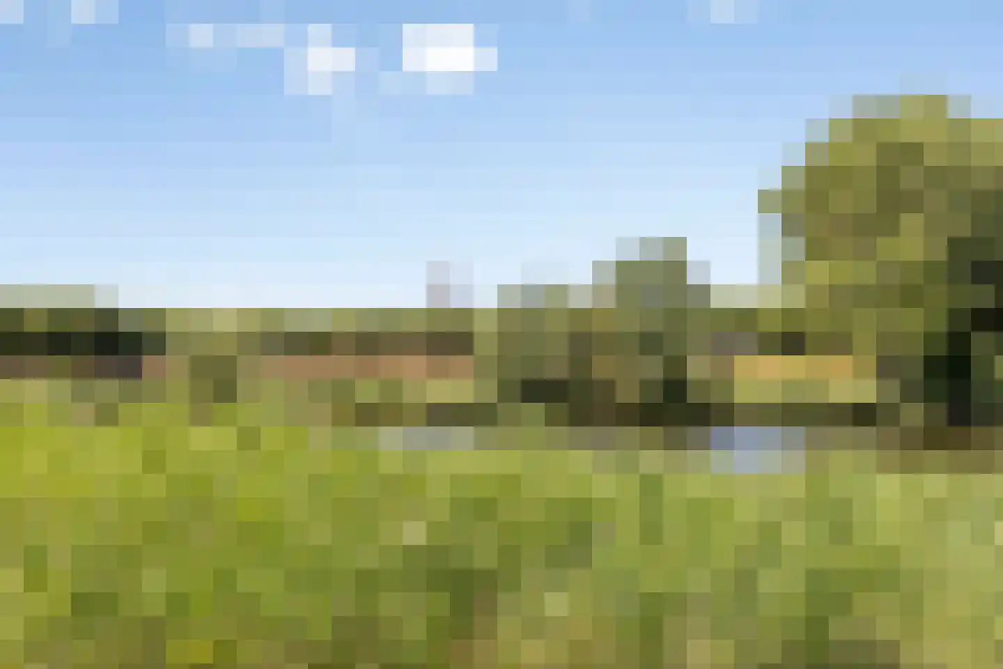 van der Maelstedeweg 46 Hulst thumbnail 27