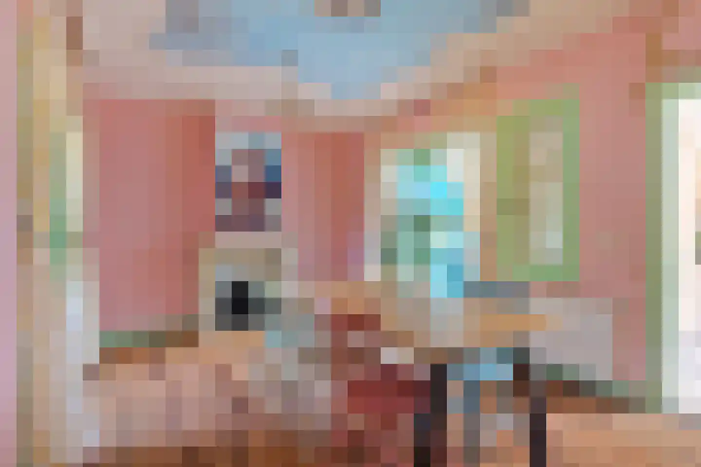 van der Maelstedeweg 46 Hulst thumbnail 8