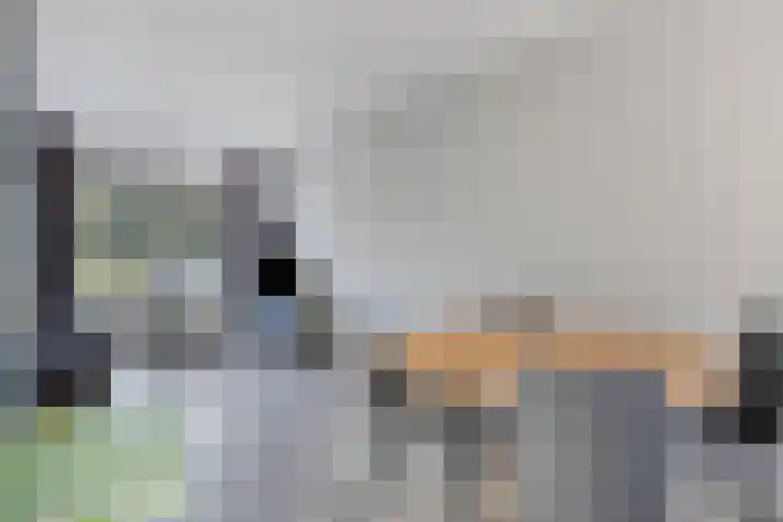 van der Maelstedeweg 80 Hulst thumbnail 10
