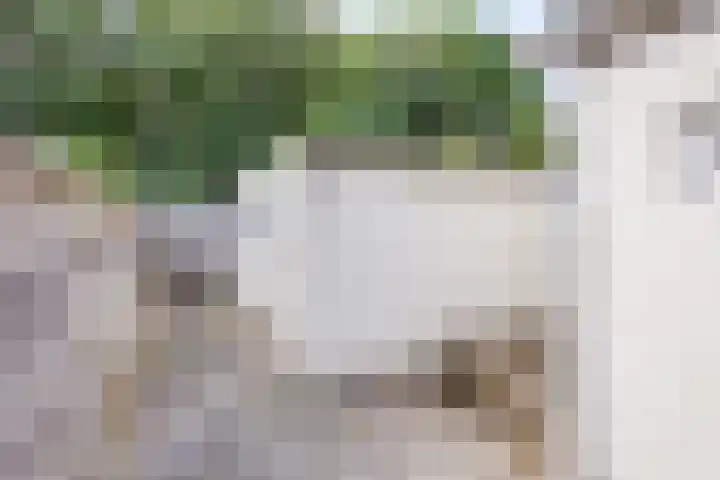 van der Maelstedeweg 80 Hulst thumbnail 20