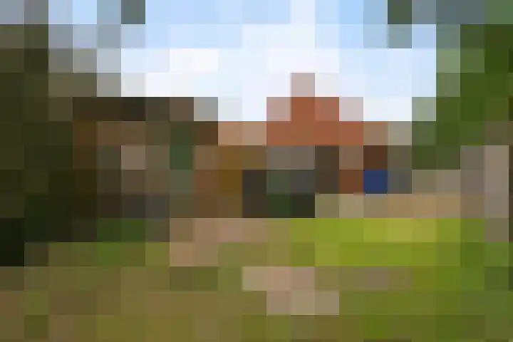 van der Maelstedeweg 80 Hulst thumbnail 23