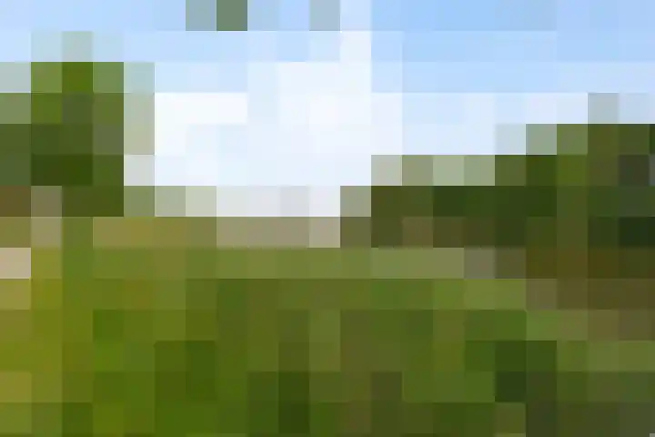 van der Maelstedeweg 80 Hulst thumbnail 24
